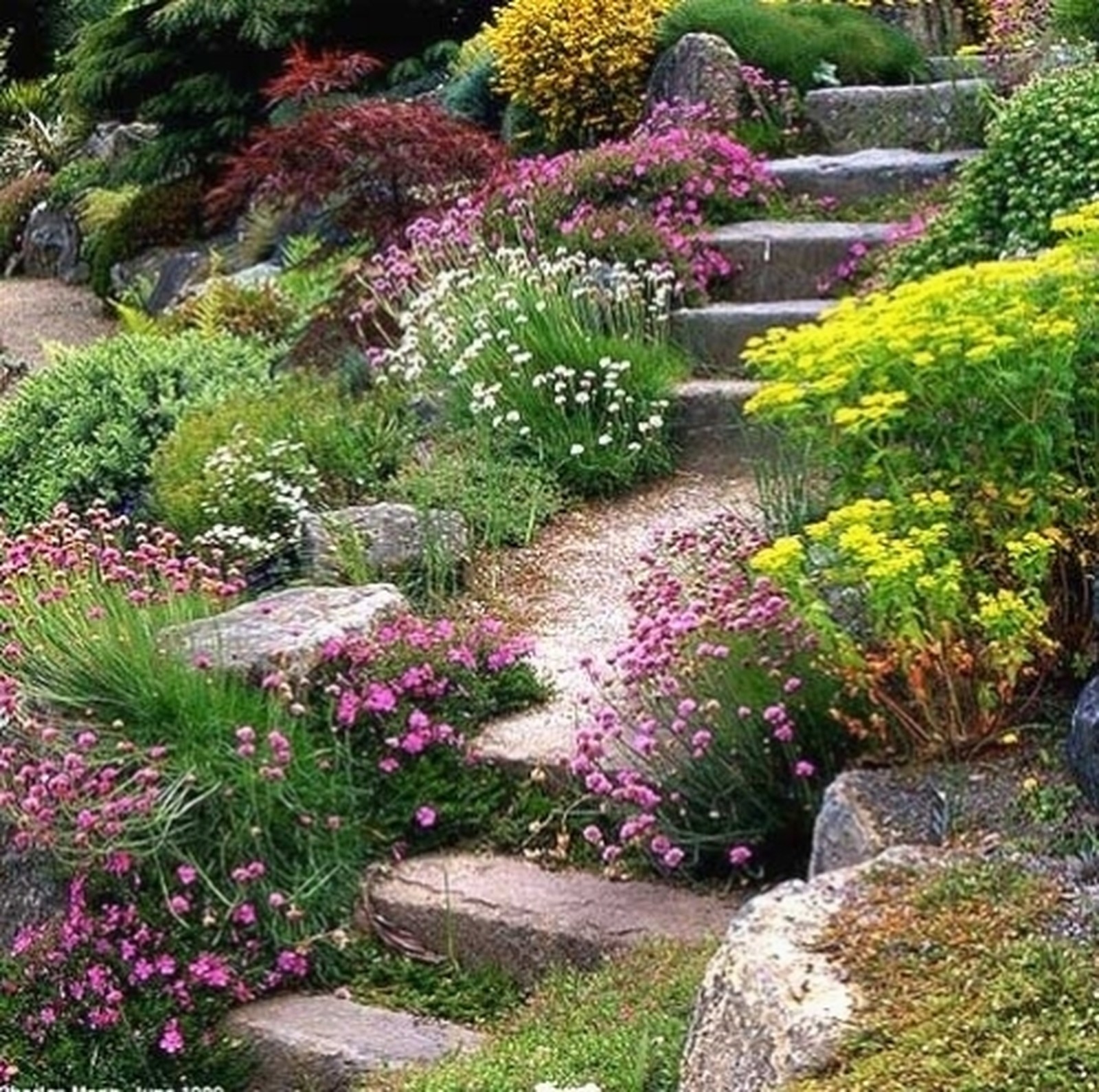 Plantations